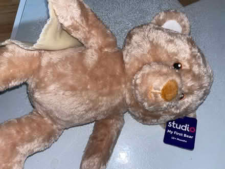 Photo of free NEW teddy and book (Roehampton. SW15) #1