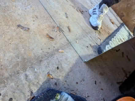 Photo of free Mirror (Surrey Quays SE16) #2