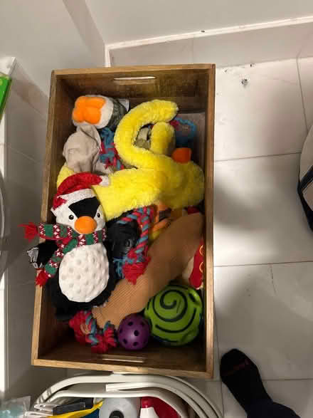 Photo of free Gently used dog toys (Flatiron) #1