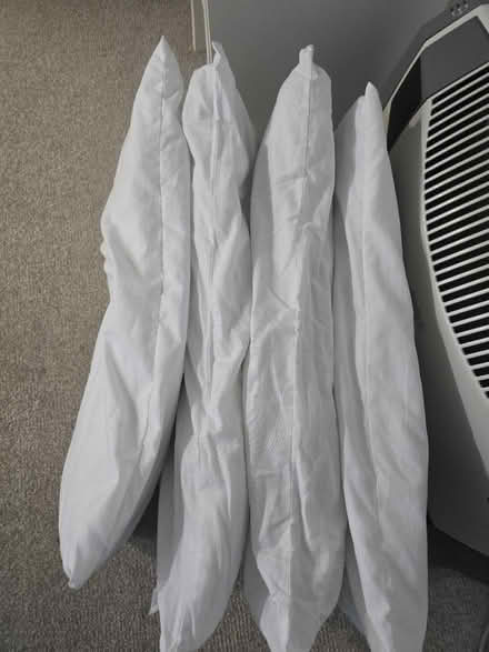 Photo of free Pillows (S64 0EP) #4