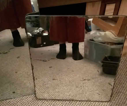 Photo of free 2 mirrors (Hartington Road BN2) #3