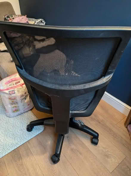 Photo of free Office chair (St Albans AL3) #3