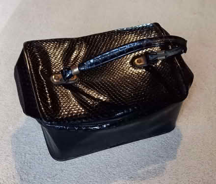Photo of free Faux Crocodile/Alligator Bag (CT2) #1