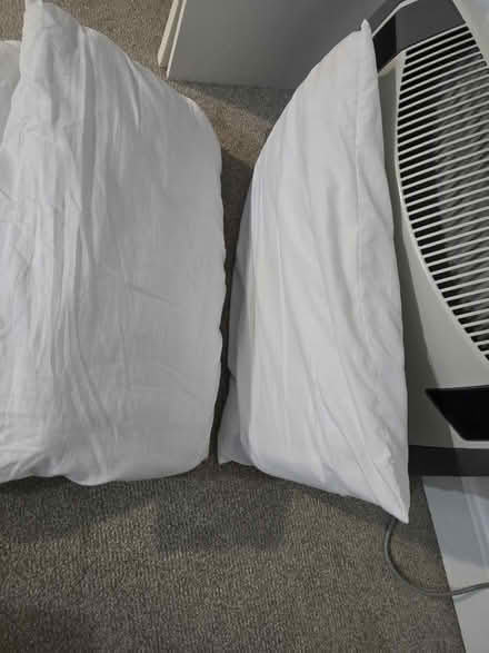 Photo of free Pillows (S64 0EP) #1