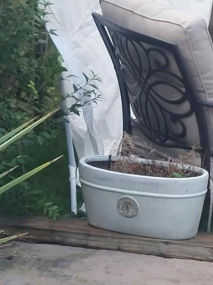 Photo of free Gazebo (Ringwood BH24) #2