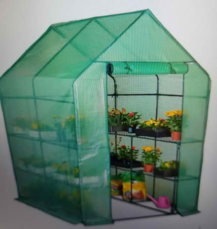 Photo of free 8x6 plastic greenhouse (Aberdeen Redmoss) #1