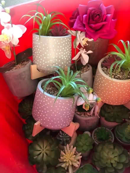 Photo of free Box of Artificial Plants in Pots (Penketh WA5) #3