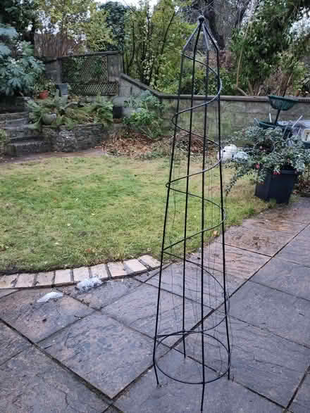 Photo of free Climbing Plant Support (Headington OX3) #1