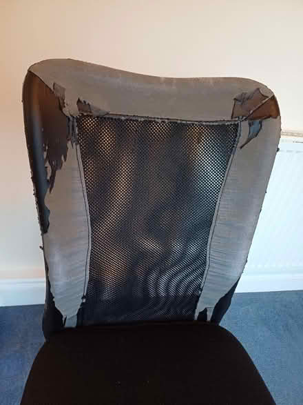 Photo of free Swivel office / computer chair (Heworth. YO31) #2