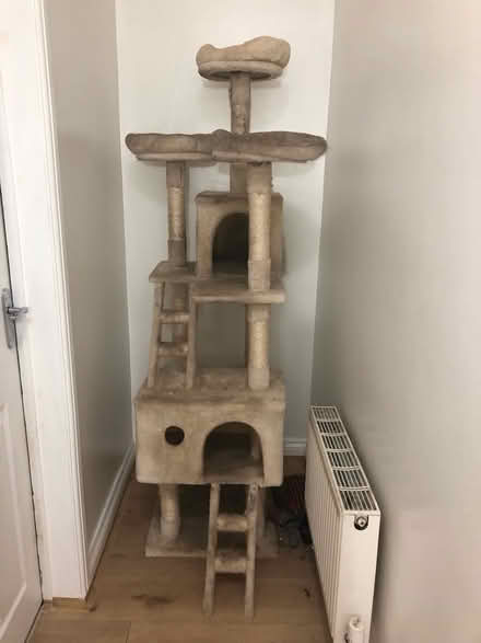 Photo of free Cat Tower (NG16) #1