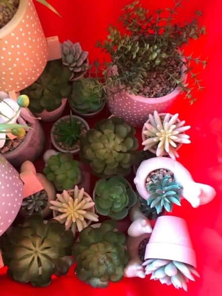Photo of free Box of Artificial Plants in Pots (Penketh WA5) #2