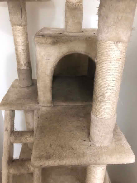 Photo of free Cat Tower (NG16) #2