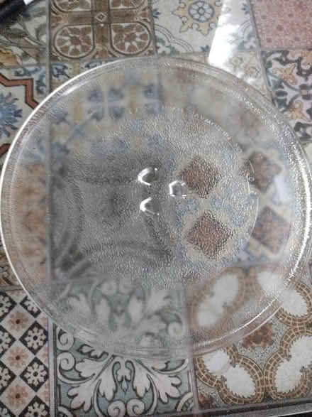 Photo of free Microwave plate (Old Town TN40) #1