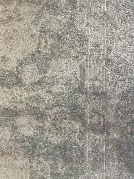 Photo of free Area rug (Dana point) #3