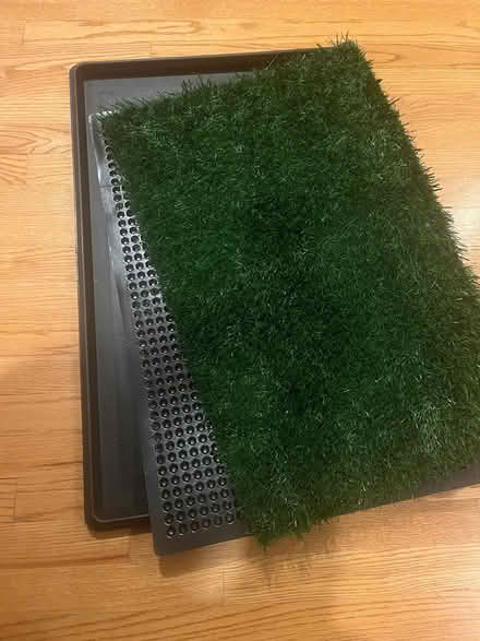 Photo of free Grass Pet Per Pad (Maywood) #1