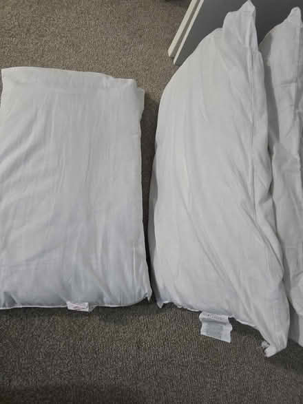 Photo of free Pillows (S64 0EP) #3
