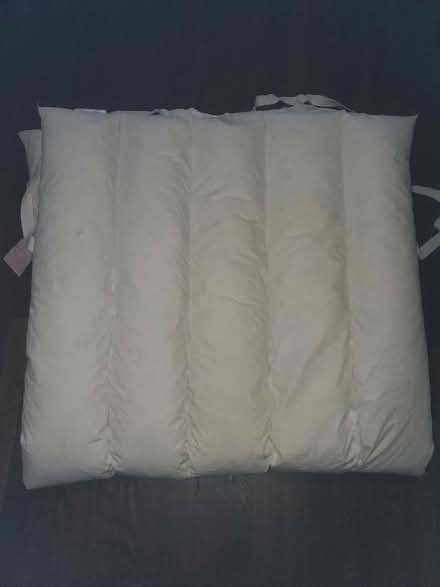 Photo of free Down twin feather bed/pet bed (Upper West Side, 108/Broadway) #2