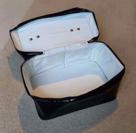 Photo of free Faux Crocodile/Alligator Bag (CT2) #2