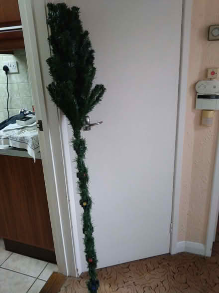 Photo of free 5ft Christmas Tree (Shelton Lock DE24) #1