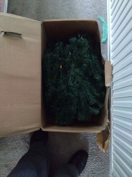 Photo of free 5ft Christmas Tree (Shelton Lock DE24) #2