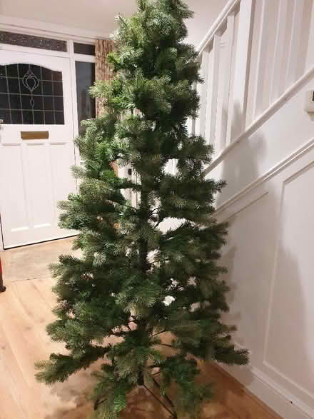 Photo of free Christmas tree (Caversham Heights RG4) #1
