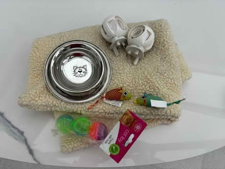 Photo of free Cat bits and bobs (St Albans AL3) #1