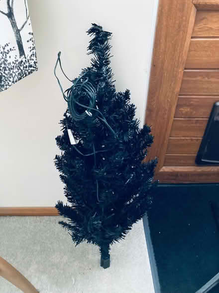 Photo of free Small Christmas Tree (Swanley BR8) #1