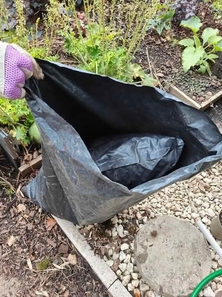 Photo of free Rubble sacks (Basildon) #1