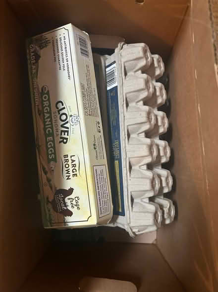 Photo of free egg cartons (Sunnyvale, CA Ponderosa Park) #1