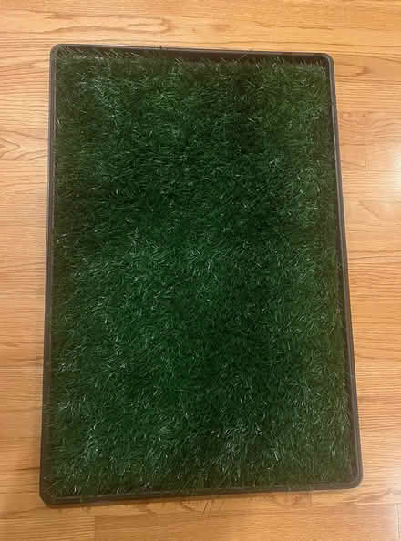 Photo of free Grass Pet Per Pad (Maywood) #2