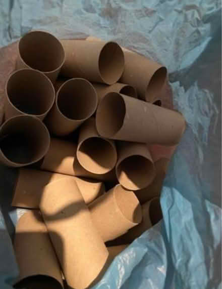 Photo of free Cardboard tubes (Beckenham BR3) #1