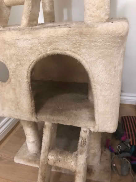 Photo of free Cat Tower (NG16) #3