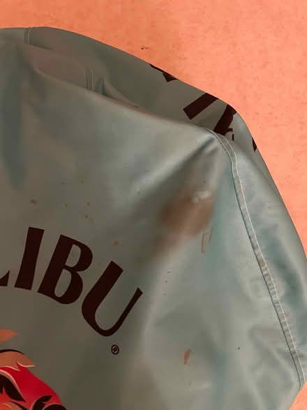 Photo of free Beanbag (Abbeyhill) #2