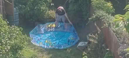 Photo of free Paddling pool.. (Long Eaton NG10) #1