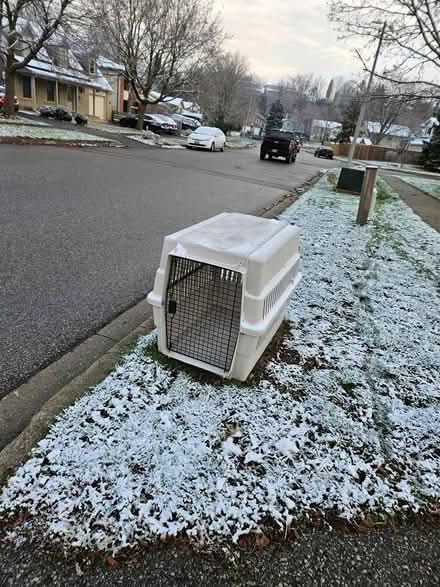 Photo of free Pet carrier (paisley and imperial) #1