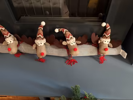 Photo of free Christmas reindeer decoration (W4) #1