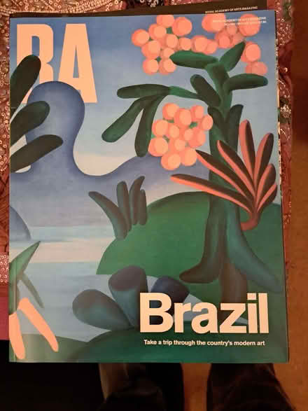 Photo of free Art Magazines (Newtown RG1) #1