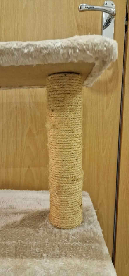 Photo of free Cat scratching post (SO18) #4