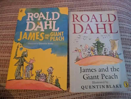Photo of free 2 Ronald Dahl books (CO11) #1