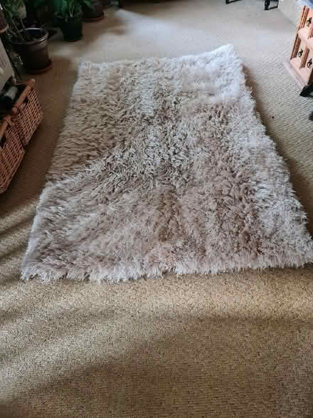 Photo of free Rug (Selsdon) #1
