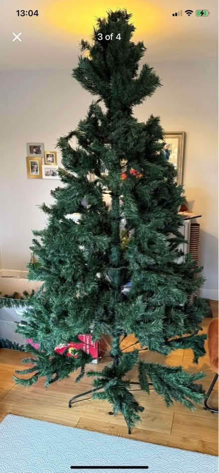 Photo of free Christmas tree (SL3) #1