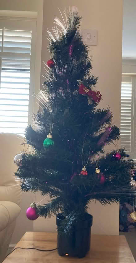 Photo of free Fibre Optic Christmas Tree (CM2, Great Baddow) #1