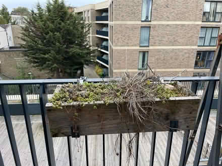 Photo of free 6 x planter boxes for balcony (Camberwell) #3