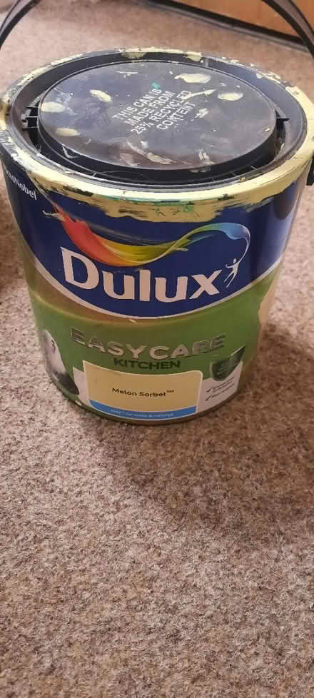 Photo of free Leftover paints (BD7) #2