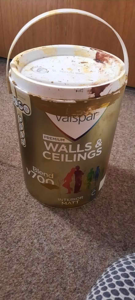 Photo of free Leftover paints (BD7) #3