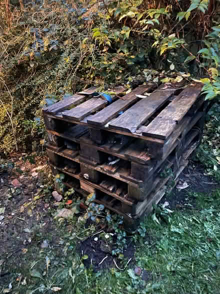 Photo of free Pallets (Osney OX2) #1