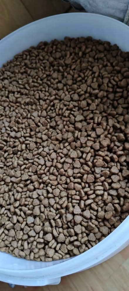 Photo of free puppy junior dry dog food (NE165UL) #1