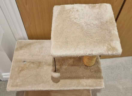 Photo of free Cat scratching post (SO18) #3