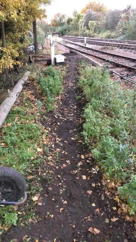 Photo of Building a heritage railway “halt” (Lightwater) #4
