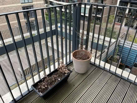 Photo of free 6 x planter boxes for balcony (Camberwell) #2